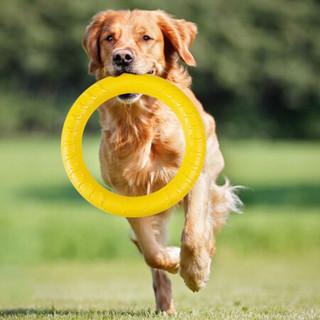 狗玩具狗狗玩具 宠物拉力环骨头形互动解闷耐咬训练狗狗用品宠物玩具